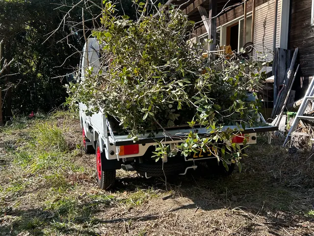 庭木の剪定いたしますサービスの画像