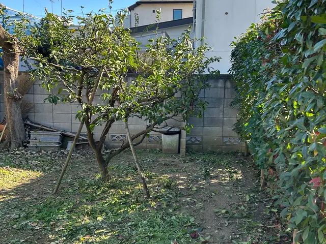 庭木の剪定いたしますサービスの画像