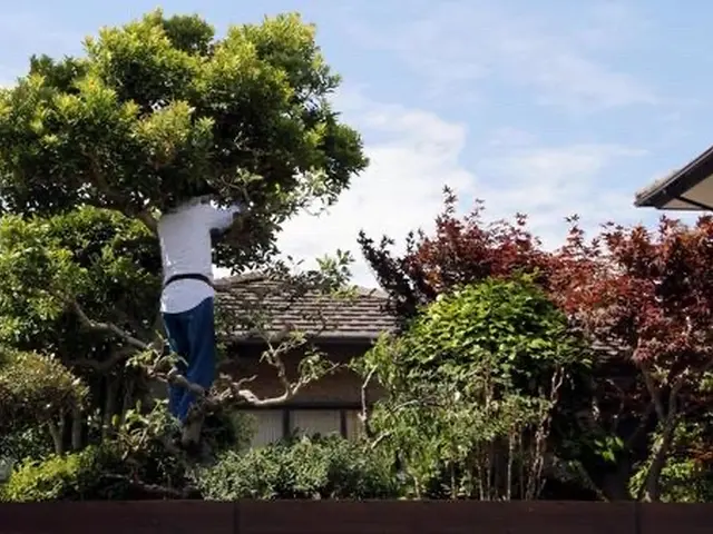 PayPay・クレジットカード対応☆キレイと元気をお届け！処分費、交通費込み！サービスの画像