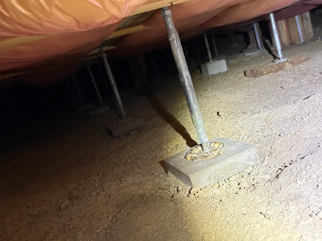 狩猟免許を持つプロが完全自社施工で安心駆除！アフターサービス付きで再発まで防止サービスの画像