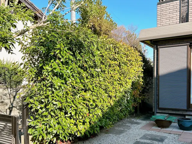 一緒に庭づくりを楽しみましょう！年間120件の施工実績サービスの画像