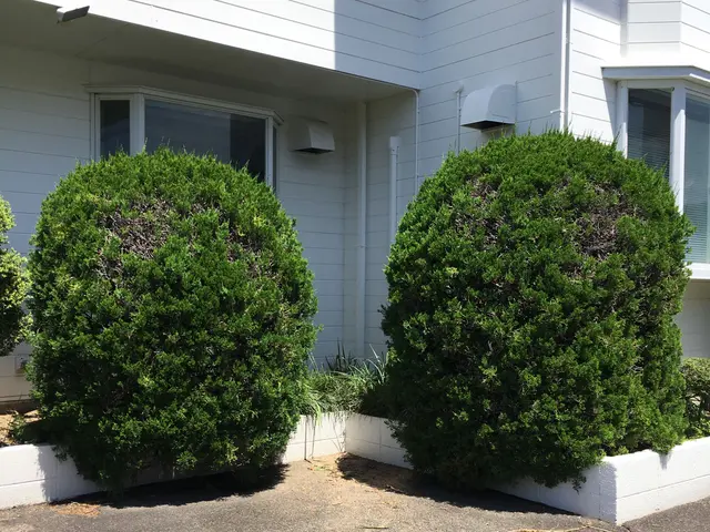 一緒に庭づくりを楽しみましょう！年間120件の施工実績サービスの画像