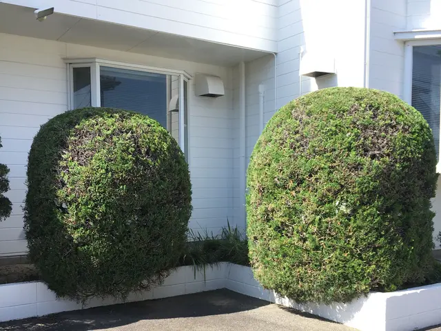 一緒に庭づくりを楽しみましょう！年間120件の施工実績サービスの画像