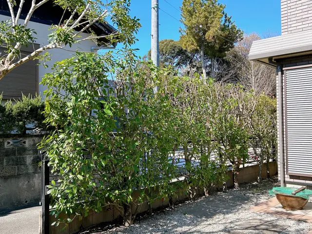 一緒に庭づくりを楽しみましょう！年間120件の施工実績サービスの画像