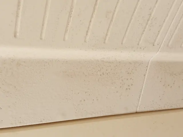 浴室清掃+エプロン高圧洗浄サービスの画像