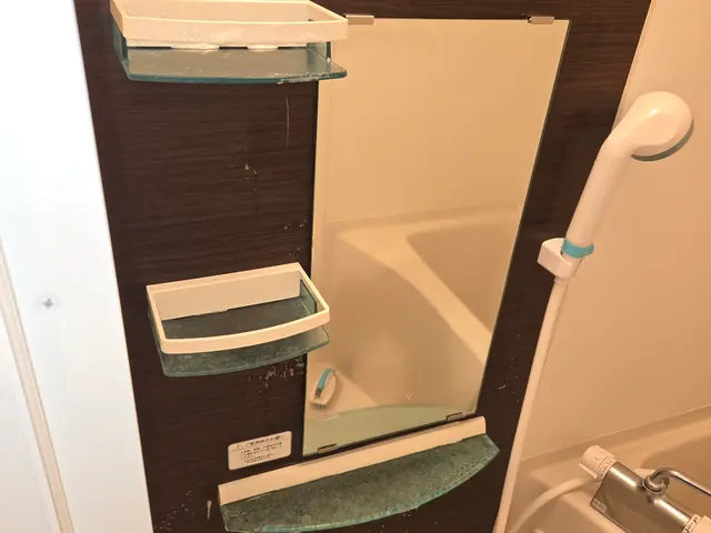 浴室清掃+エプロン高圧洗浄サービスの画像