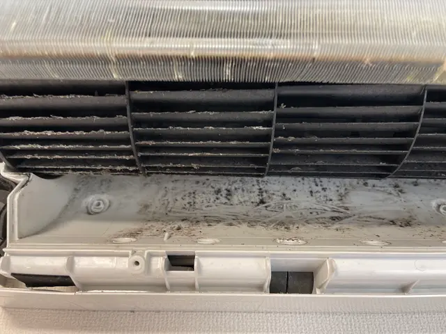 エアコンクリーニングでお部屋に漂うカビ菌やホコリをストップ！《除菌・消臭無料》サービスの画像