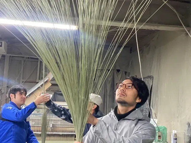 有機肥料で育てた地球にも人間の健康にも優しい一生物の畳表サービスの画像