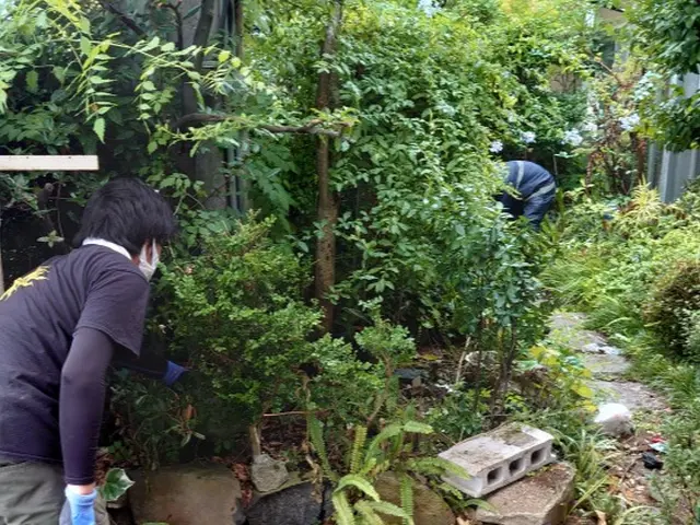 草刈りサービスサービスの画像