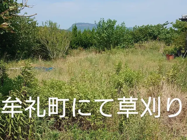 草刈りサービスサービスの画像