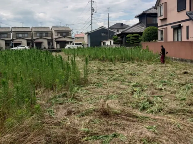 草刈りサービスサービスの画像