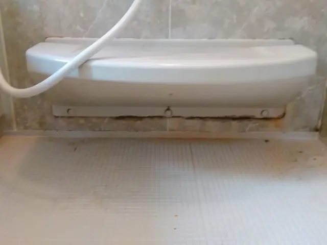 お風呂のお掃除ですサービスの画像