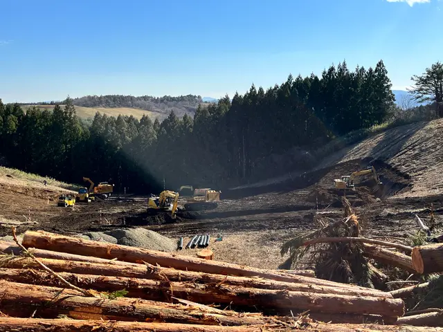 美里町の大煌です！特殊伐採も得意としています！サービスの画像
