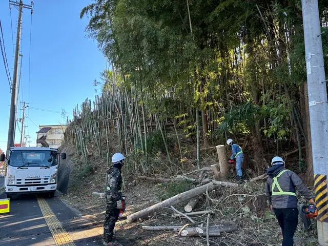 美里町の大煌です！特殊伐採も得意としています！サービスの画像