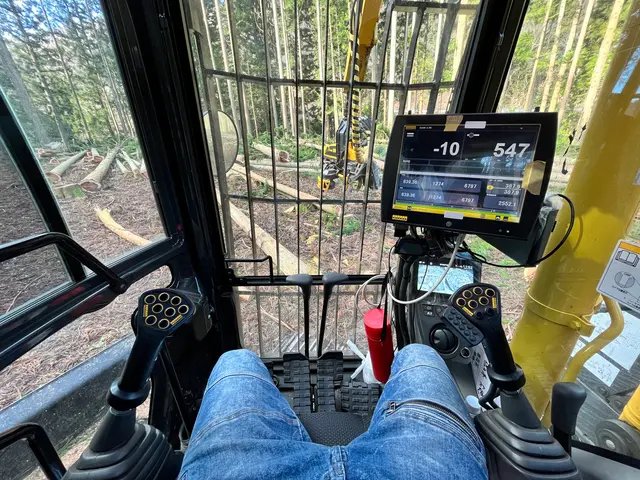 美里町の大煌です！特殊伐採も得意としています！サービスの画像