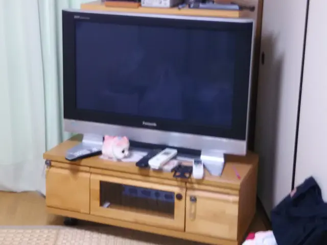 1月まで予約可能/24H作業OK!・大物家具・大型家電・女性スタッフ派遣OK!サービスの画像