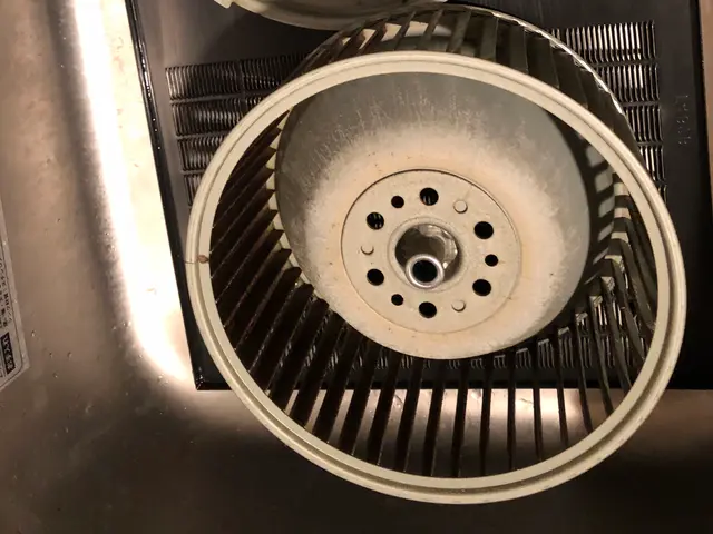 家族のように、皆を大切にします。安心してご依頼ください。サービスの画像