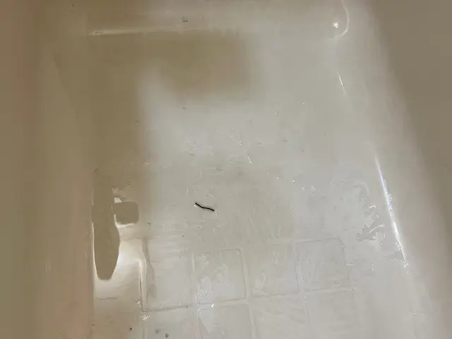 現金支払いでワックス無料キャンペーン中です！サービスの画像