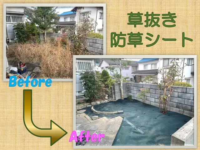 大変なお庭の手入れ！プロの作業でキレイにします！サービスの画像