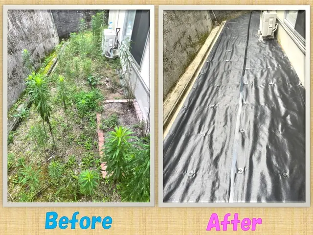 大変なお庭の手入れ！プロの作業でキレイにします！サービスの画像