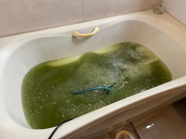 【汚れ出るとこお見せします】マイクロバブルと独自洗剤のW洗浄◎清潔な湯船をお届けサービスの画像