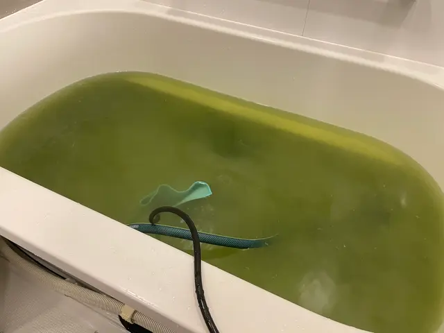 【汚れ出るとこお見せします】マイクロバブルと独自洗剤のW洗浄◎清潔な湯船をお届けサービスの画像