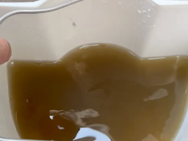 確実な感染対策と臭い戻り防止技術で車内を徹底洗浄サービスの画像