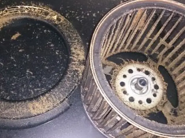 自然派ナチュラル＆セーフティー　換気扇クリーニングサービスの画像