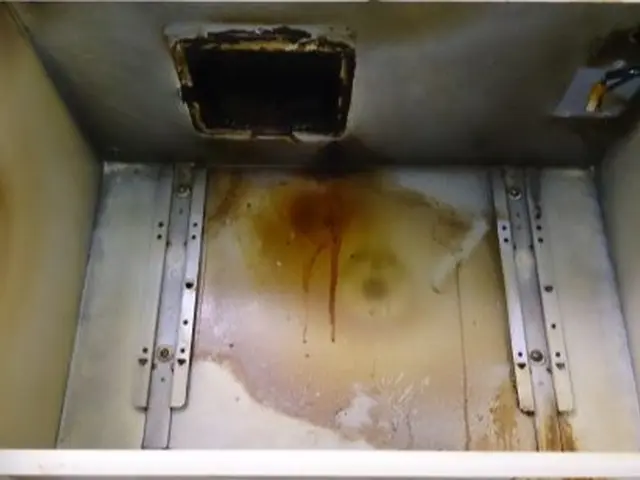 自然派ナチュラル＆セーフティー　換気扇クリーニングサービスの画像