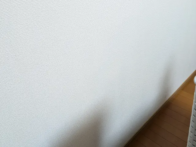 独立職人による丁寧な仕上がりのクリーニングサービスの画像