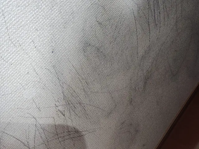 独立職人による丁寧な仕上がりのクリーニングサービスの画像