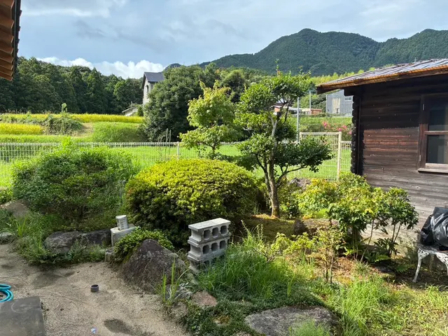 低木から特殊伐採まで作業可能です！！安く迅速に丁寧に！サービスの画像