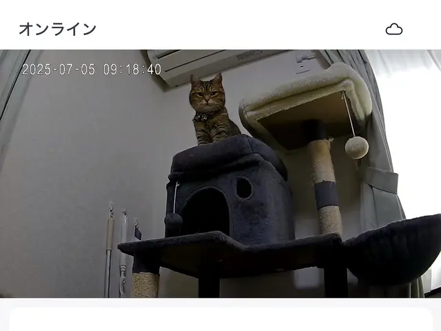 【ペットカメラ】【見守りカメラ】の設置設定サービスの画像