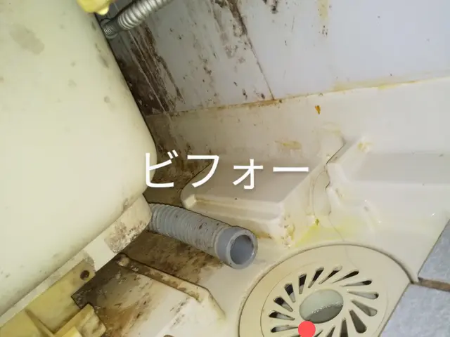 浴室カビ防止コート無料3月まで！下記の注意事項をご確認お願い致します。サービスの画像