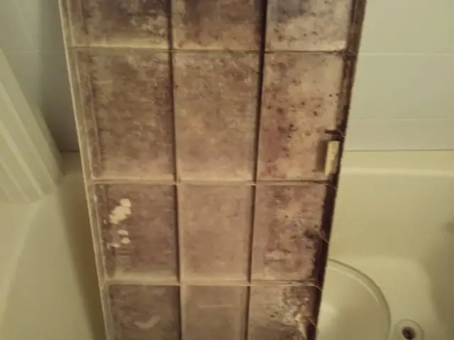 浴室カビ防止コート無料3月まで！下記の注意事項をご確認お願い致します。サービスの画像