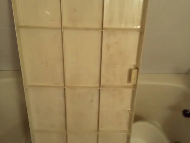 浴室カビ防止コート無料3月まで！下記の注意事項をご確認お願い致します。サービスの画像