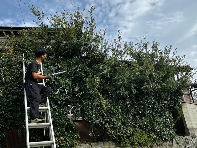 ☆和歌山草刈り　刈り太郎☆ お家の庭から広ーい山までOK！【無料お見積もり】サービスの画像