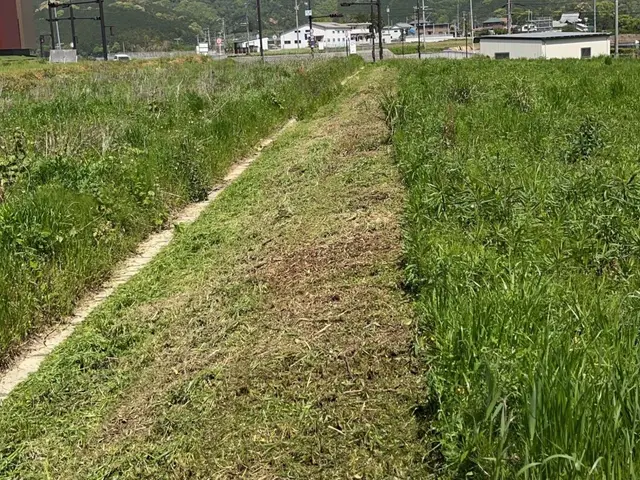 ☆和歌山草刈り　刈り太郎☆ お家の庭から広ーい山までOK！【無料お見積もり】サービスの画像