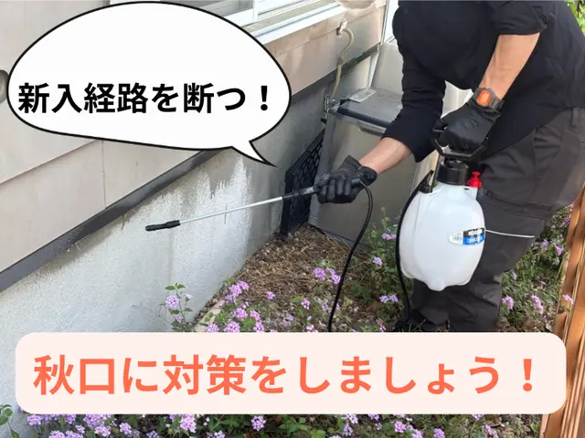 【金賞受賞店】ムカデ・ヤスデ、秋の大量発生注意・日程問い合わせください！サービスの画像