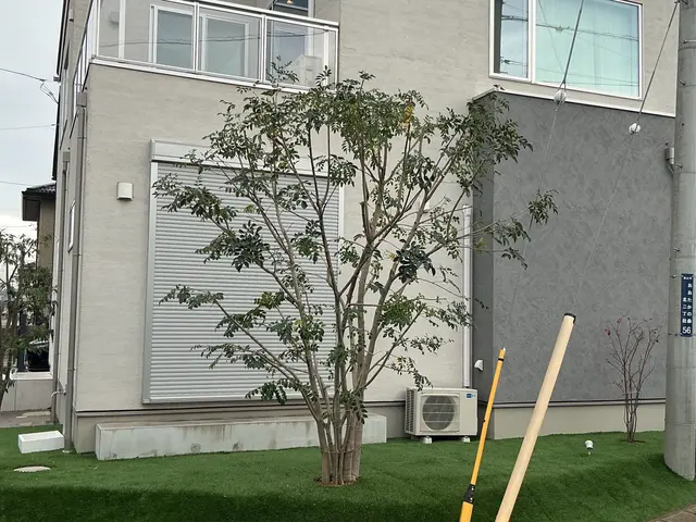 【庭木が元気になる剪定】状態に合わせて提案可能◎女性スタッフ同行可能◎手直しも◎サービスの画像