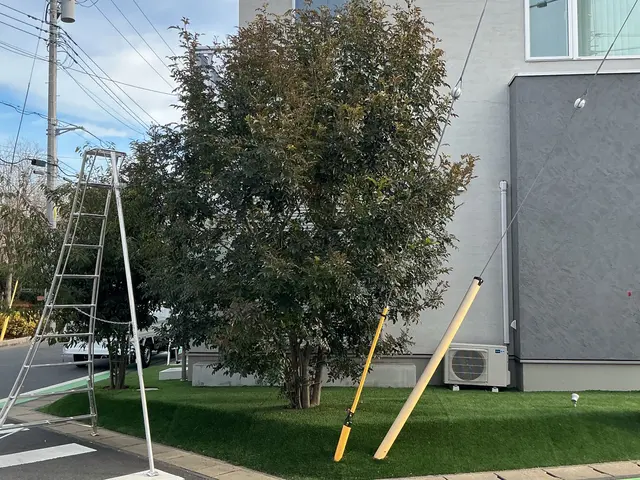 【庭木が元気になる剪定】状態に合わせて提案可能◎女性スタッフ同行可能◎手直しも◎サービスの画像