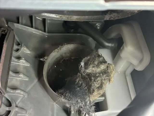 【Panasonic、日立限定】年末大掃除前洗濯機の中もピカピカに★12月枠空有サービスの画像