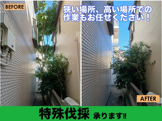 低木～高木まで１本からでも伐採OK！！経験豊富なプロにお任せください◎サービスの画像