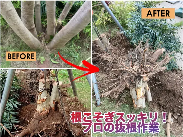 低木～高木まで１本からでも伐採OK！！経験豊富なプロにお任せください◎サービスの画像