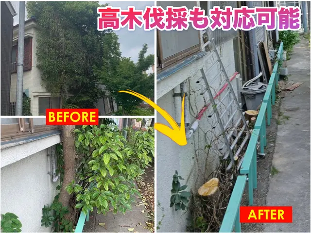 低木～高木まで１本からでも伐採OK！！経験豊富なプロにお任せください◎サービスの画像