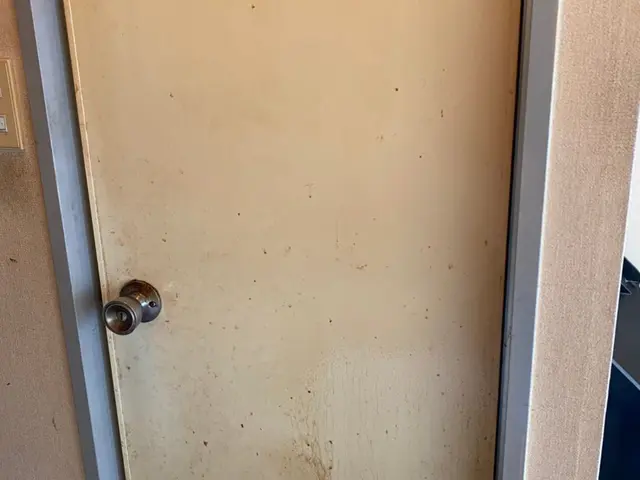 【完全自社施工】損害保険加入済◉大手での作業経験アリ◉サービスの画像