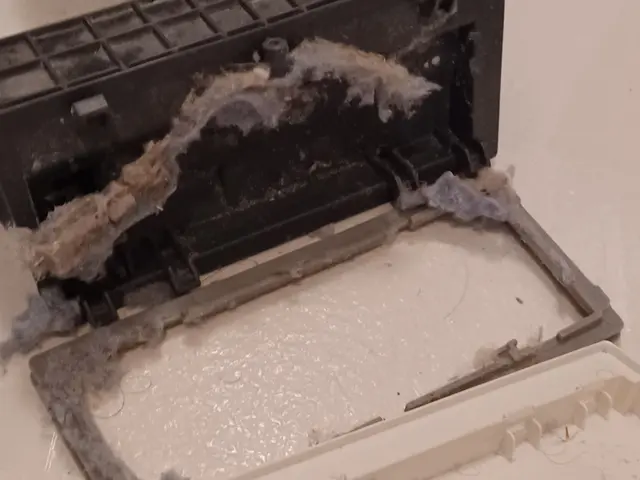 最安値でも丁寧な作業ドラム式分解洗浄◆洗濯機周囲床無料清掃&防カビコート無料サービスの画像