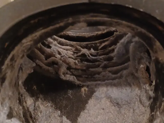 最安値でも丁寧な作業ドラム式分解洗浄◆洗濯機周囲床無料清掃&防カビコート無料サービスの画像