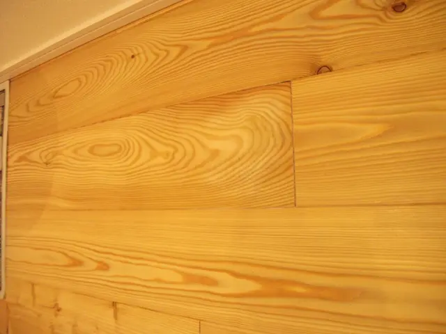 【新規出店キャンペーン！】傷を消して、住まいに輝きを！サービスの画像