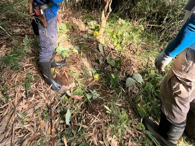 落ち葉も資源！落ち葉を里山で有効活用しますサービスの画像